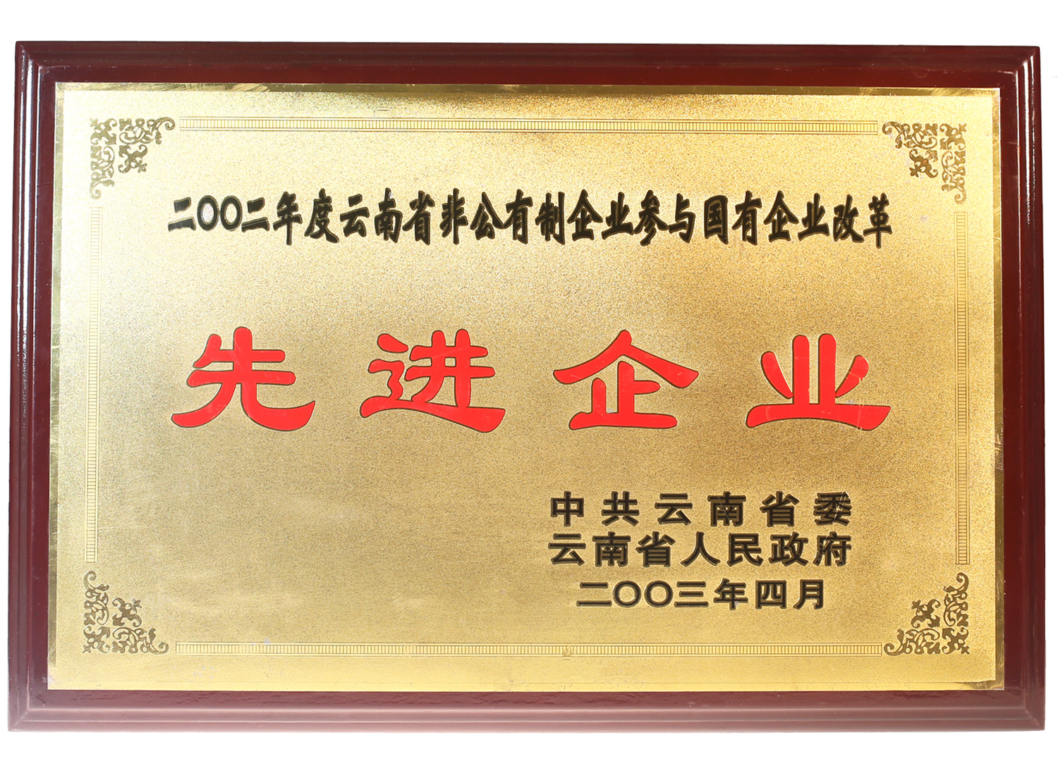2003年被云南省政府授予“先進(jìn)企業(yè)”稱號